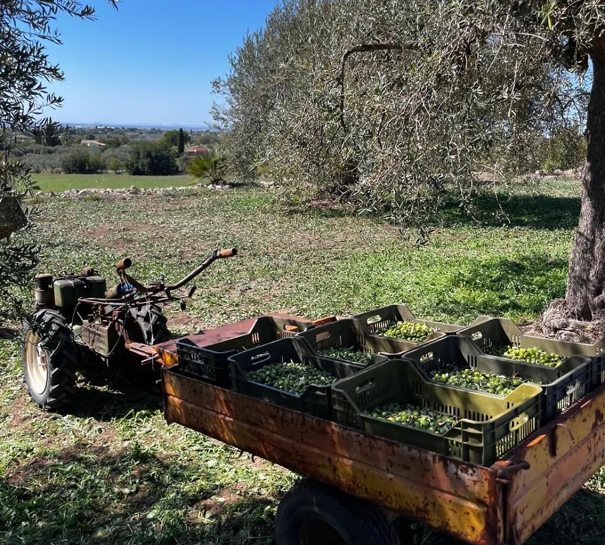 La Bella Vita Agriturismo Chiaramonte Gulfi